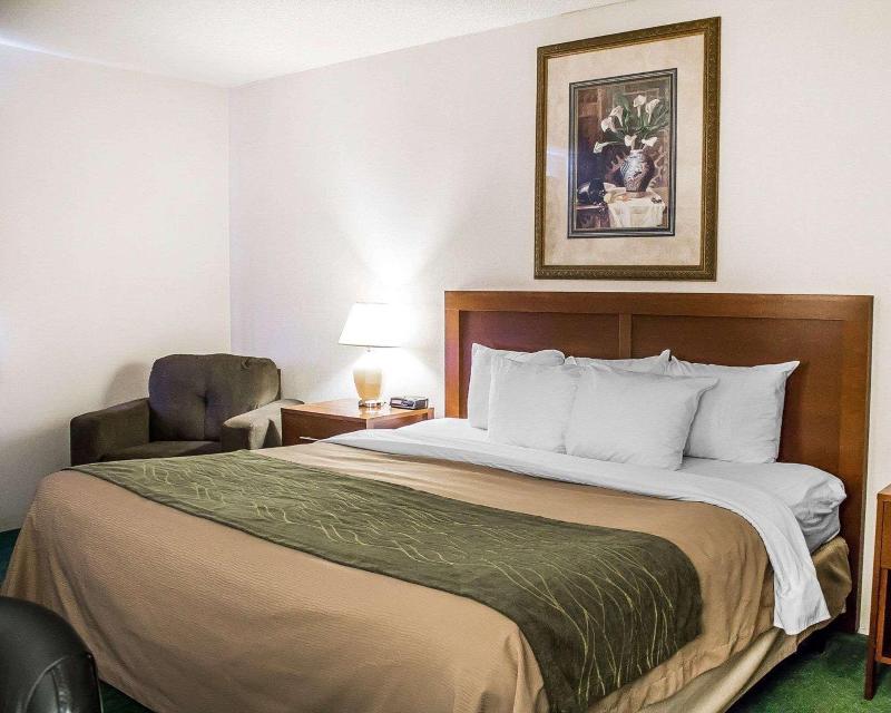 Comfort Inn Manistique MI - photo 26