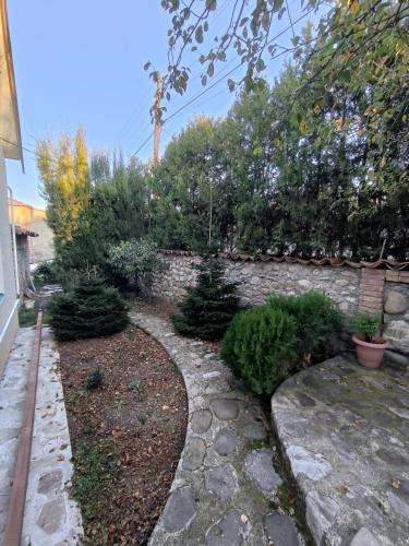 guest house Calma
