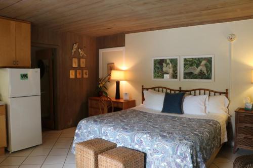 The Parrot Nest - photo 24