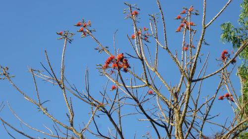 The Enchanting Nest — Madgaon — photo 2