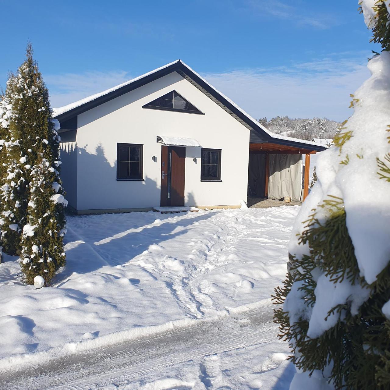 Domek Amelia Bieszczady in Lesko, Poland