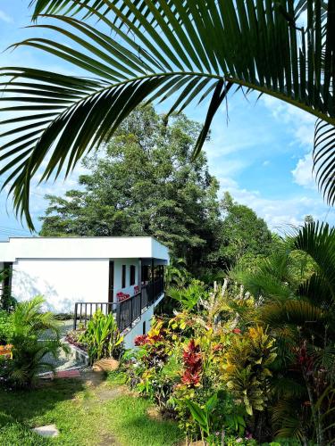 Finca El Bazar in Montenegro, Colombia