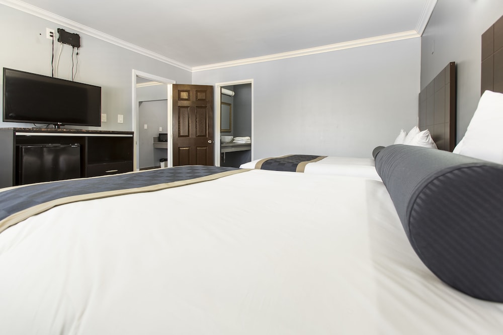Hollywood Palms Inn and Suites - photo 5