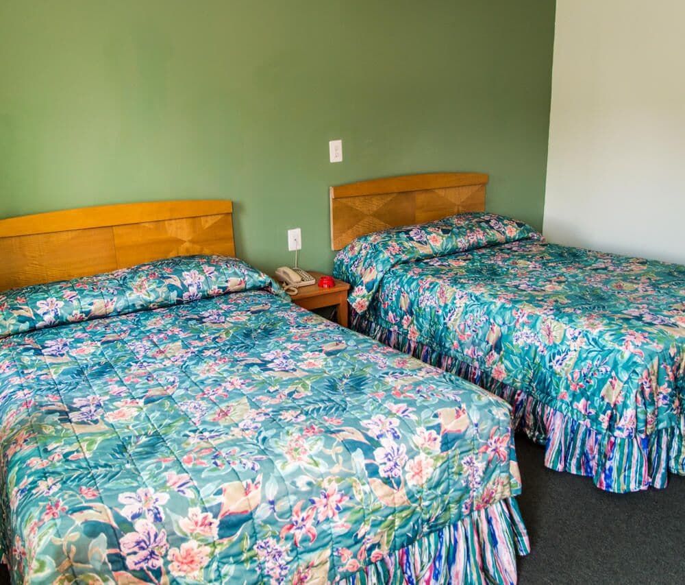 Bay Drive Motel - featured photo