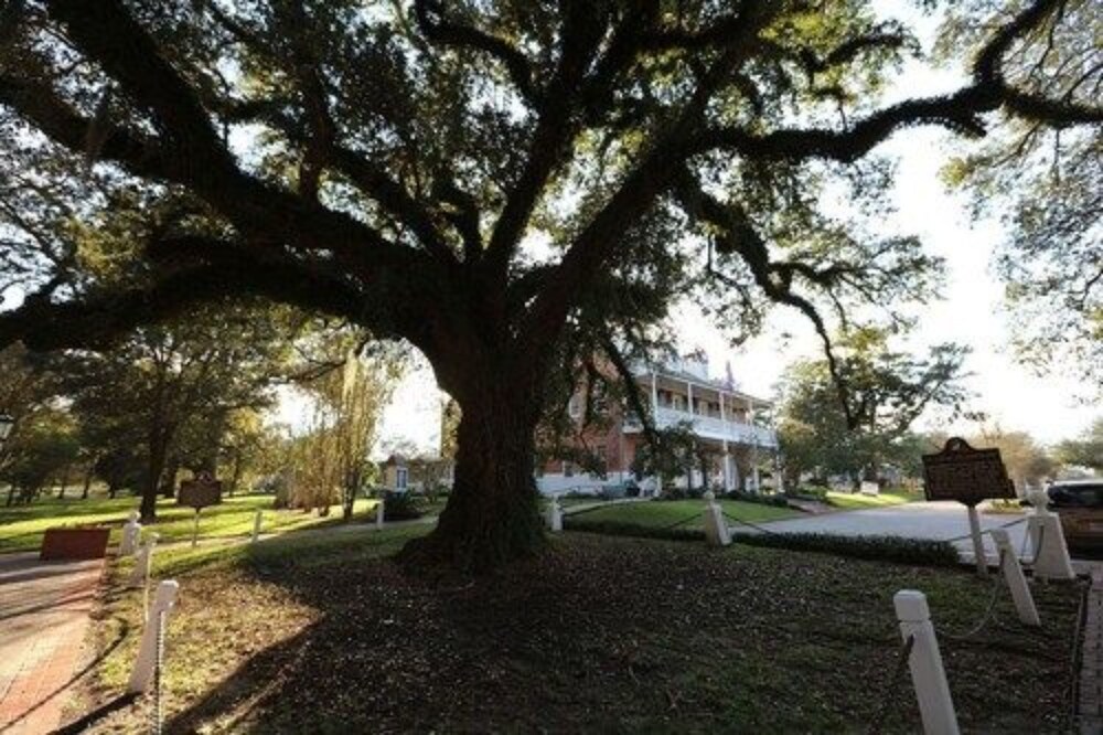 Old Castillo Bed and Breakfast - featured photo