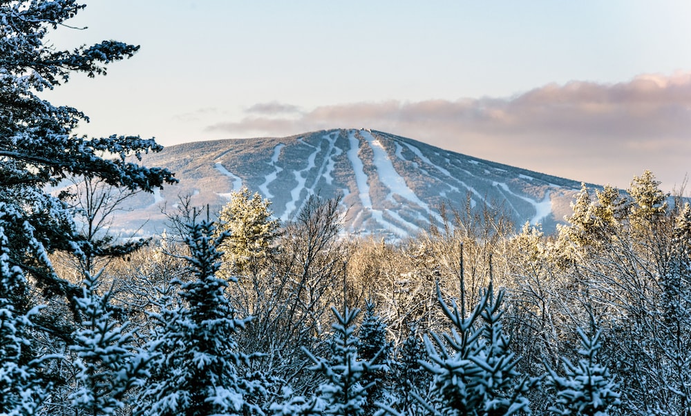 The Black Bear Lodge at Stratton Mountain Resort - photo 36