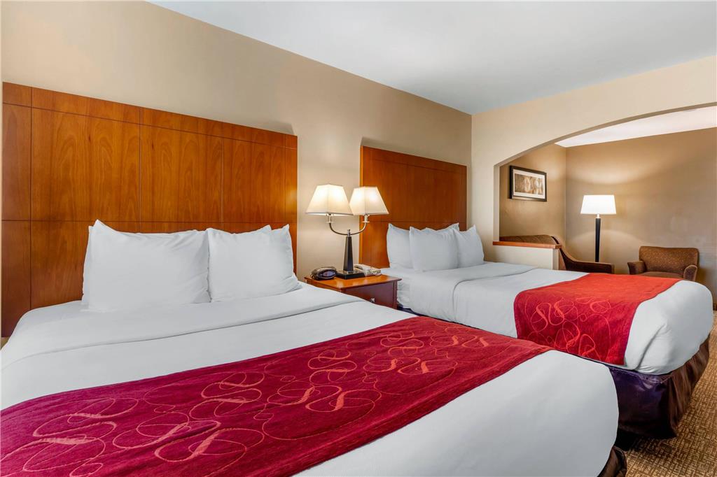 Comfort Suites North Dallas - photo 29