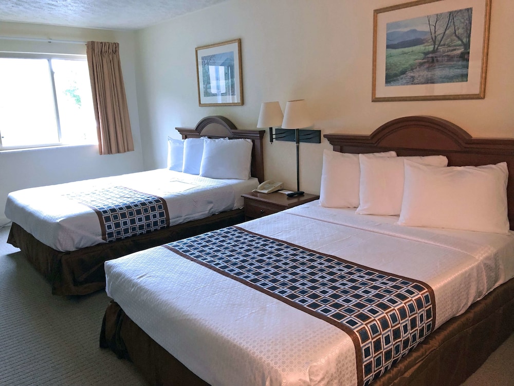 Americas Best Value Inn & Suites Independence VA - photo 3