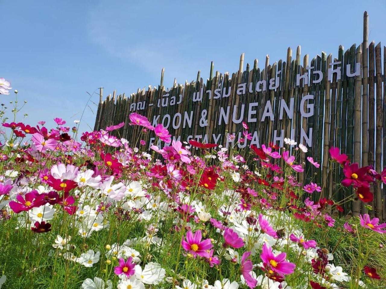 คูณ เนื่อง ฟาร์ม สเตย์ หัวหิน Koon & Nueang Farm Stay Hua Hin in Cha-Am, Thailand