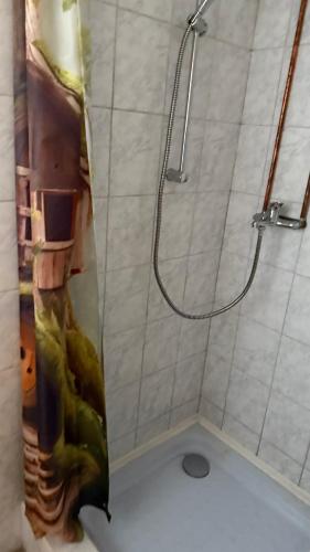 Gárdonyi csillagszem in Gardony, Hungary