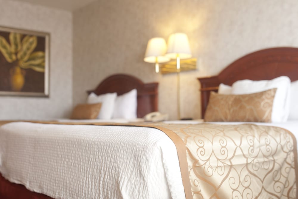 St. George Inn & Suites - photo 3
