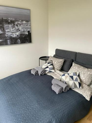 K30 5 6 pers apartment near University