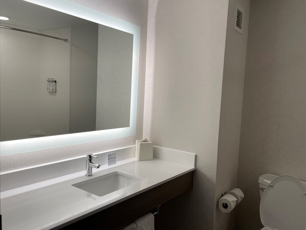 Holiday Inn Express and Suites Tuscaloosa University an IHG Hotel - photo 24