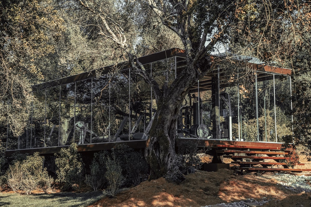 פעילויות וכושר