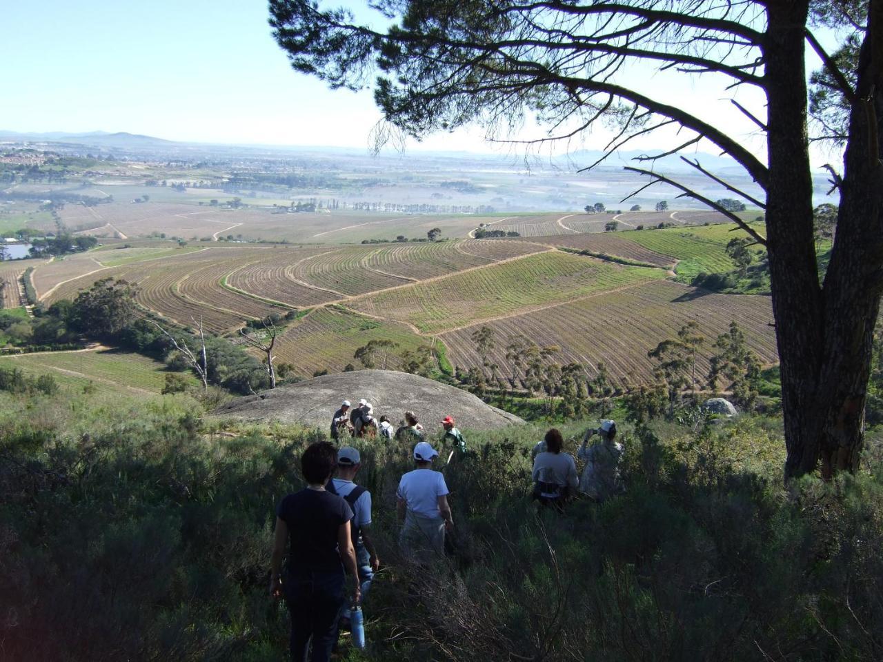 Mooiplaas Wine Estate