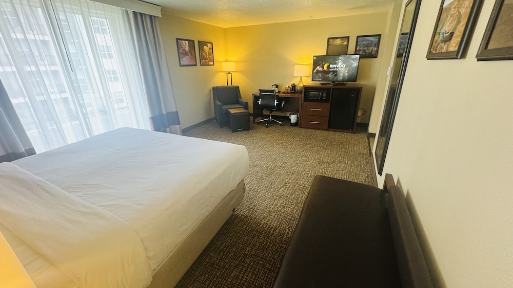 Comfort Inn Salt Lake City Downtown - photo 16