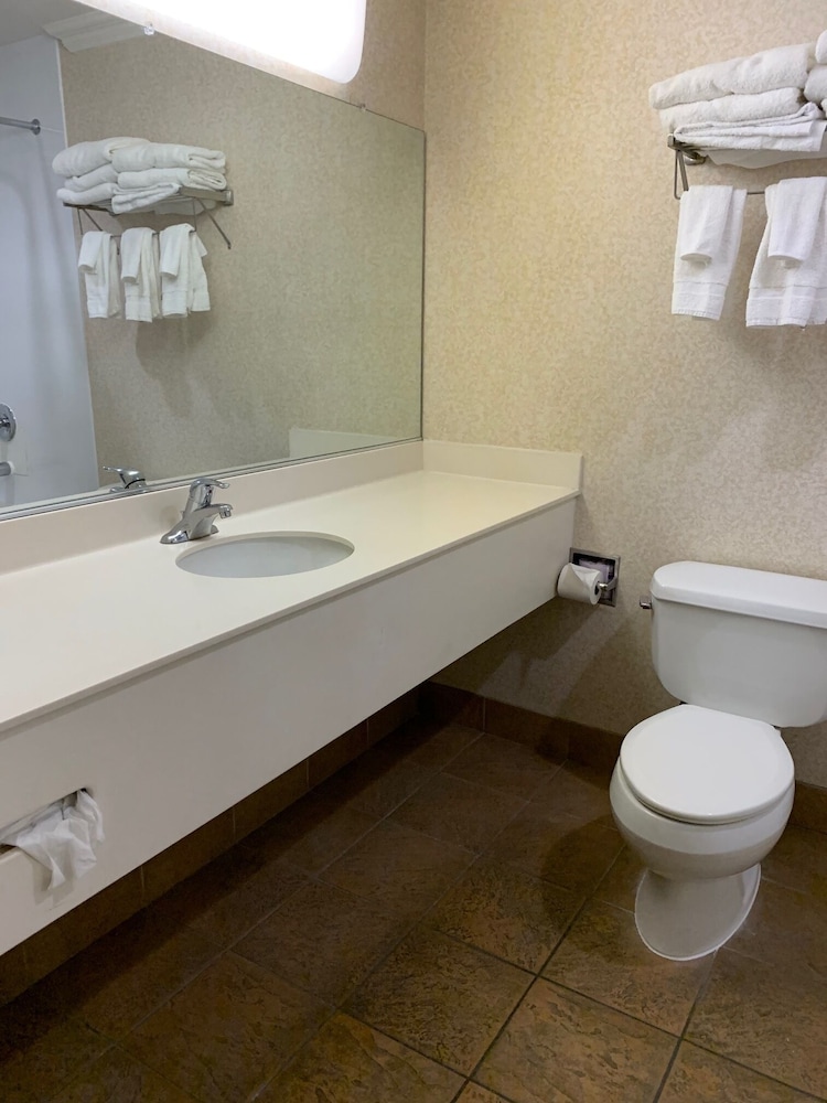 Olive Tree Inn & Suites by Howard Johnson WYNDHAM - photo 30