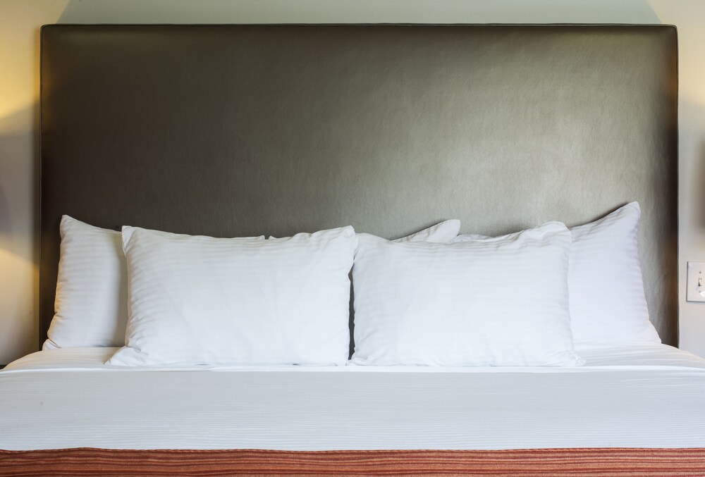 Shelter Hotel Los Angeles - photo 13