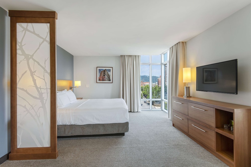 DoubleTree by Hilton Asheville Downtown - photo 24