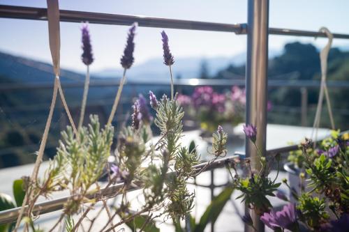 Iris Cretan Mountain Escape — Unknown City — photo 5