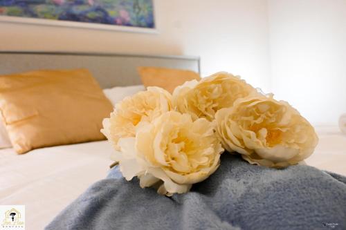 Inn Pisa Rentals Pisa Tower Flat in Pisa, Italy