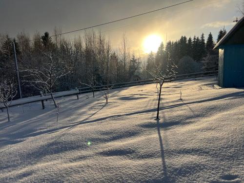 Sadiba Rozchil in Yablunytsya, Ukraine