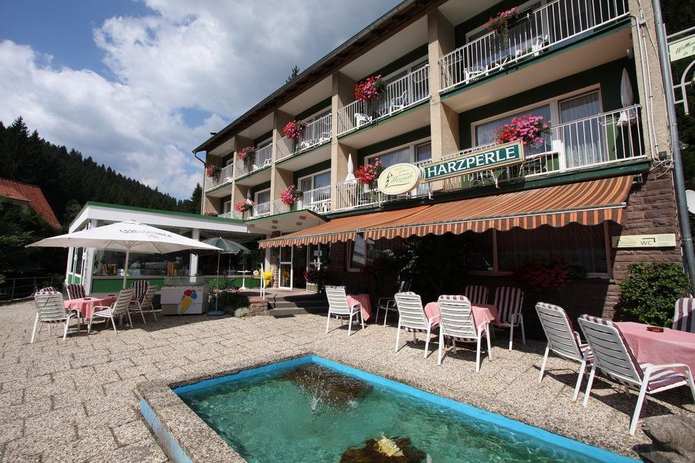 Pension Harzperle — Wildemann — photo 4