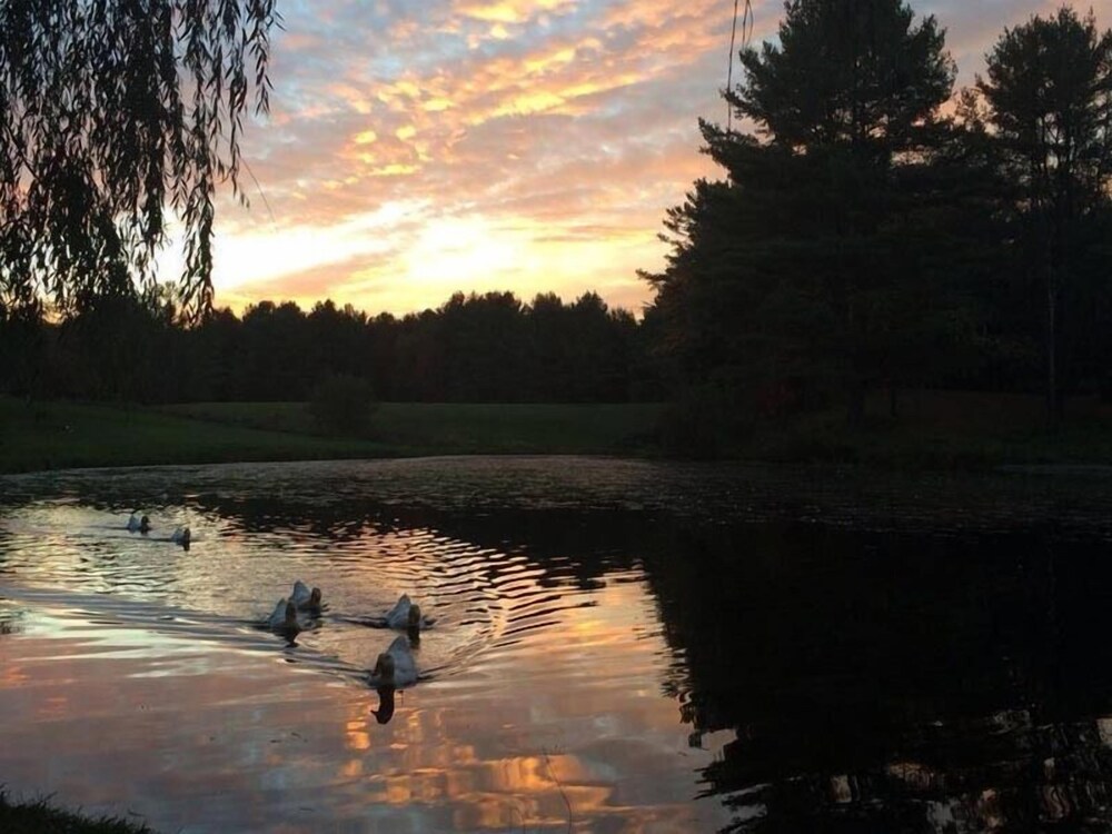 Baumann's Brookside Resort - photo 17