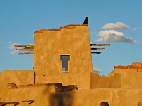 Canyon Of The Ancients Guest Ranch - photo 2