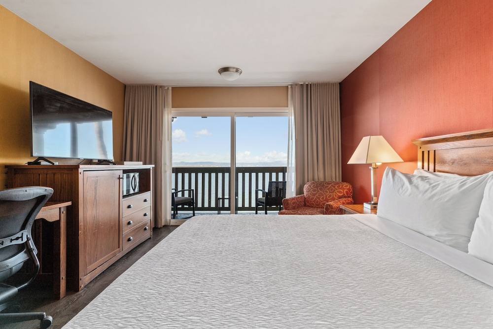 Vagabond Inn Executive San Francisco Airport - photo 26