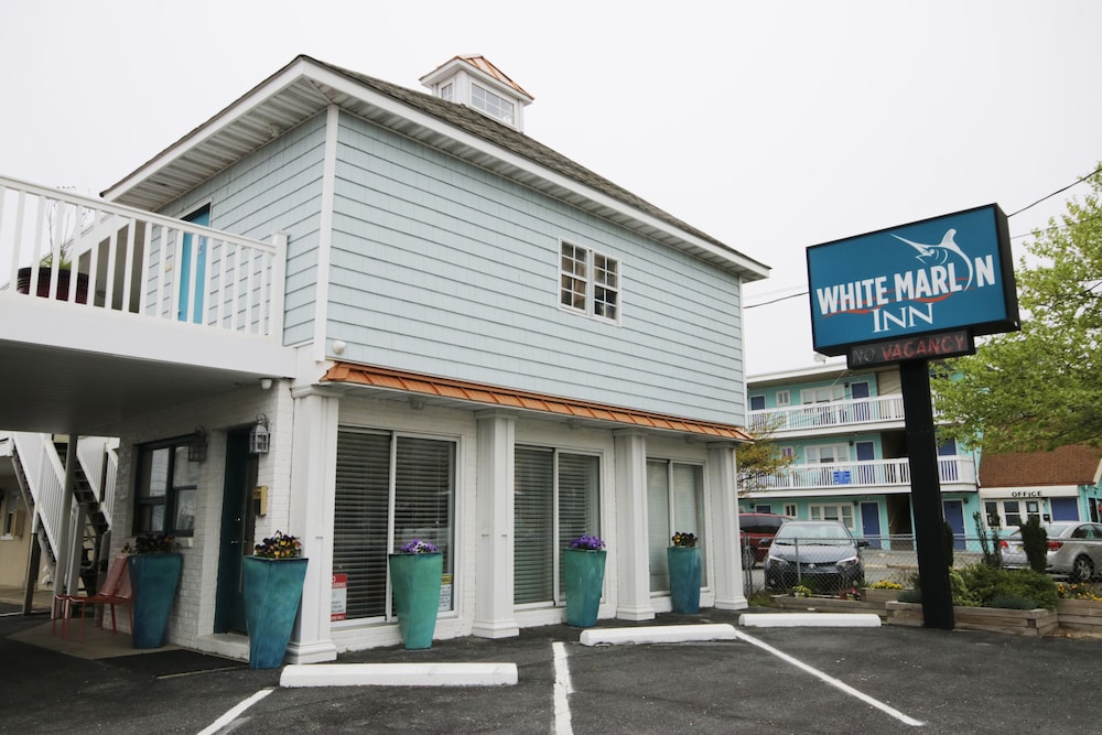 White Marlin Inn - photo 17