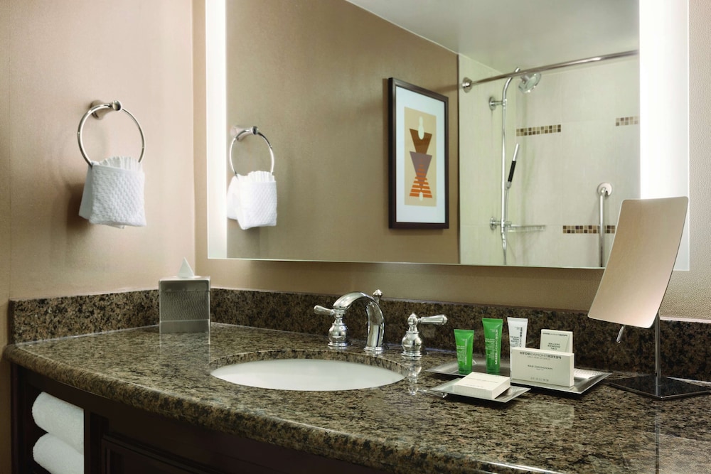 Hilton Arlington - photo 25
