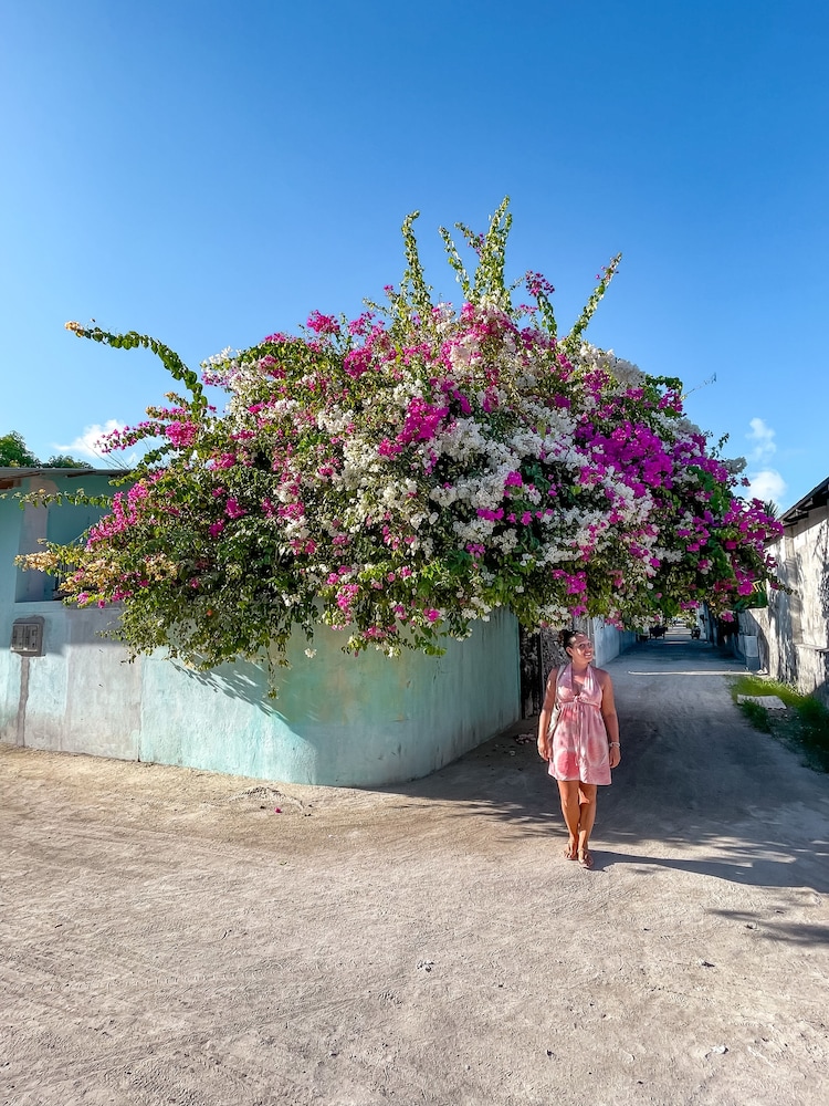 City view from property