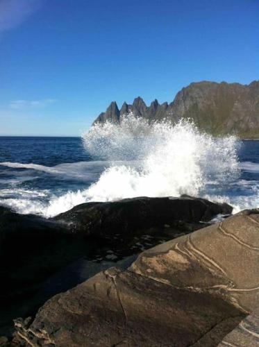Rural life on the rough coastline of Senja — Skaland — photo 4
