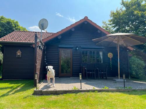 Lüttje Koje - last minute hotel in Unknown City