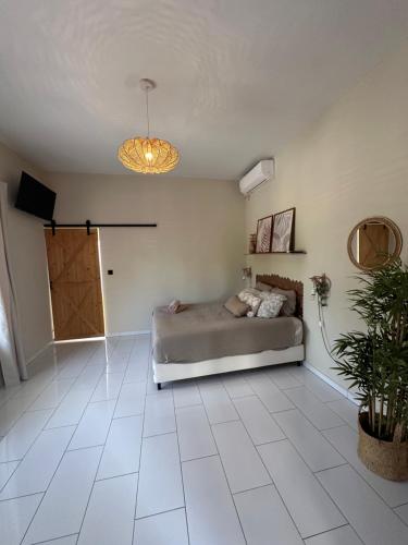Palm View - carbon neutral hotel in Willemstad