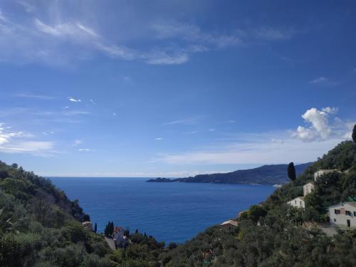Villa Barbara — 4-Star Luxury Hotel in Zoagli, Italy
