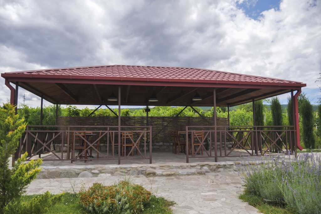 Chateau White Flags — Telavi — photo 3