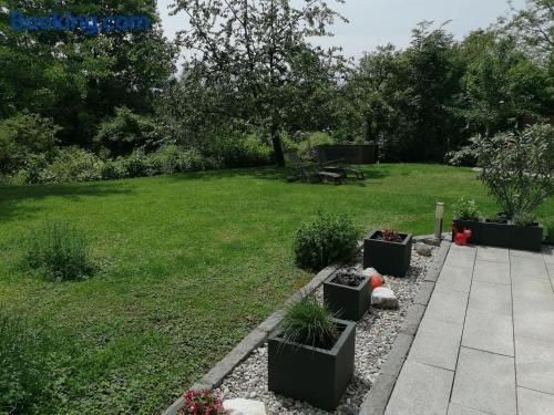 Gartenappartement Ybbs — Ybbs An Der Donau — photo 3