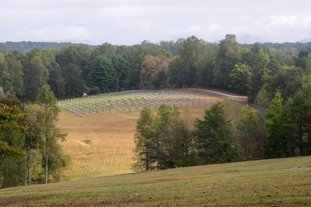 Dahlonega Resort and Vineyard - photo 52
