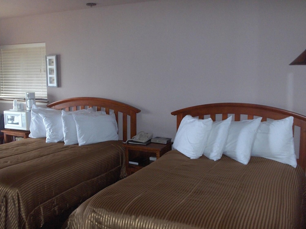 Surf Inn - photo 4