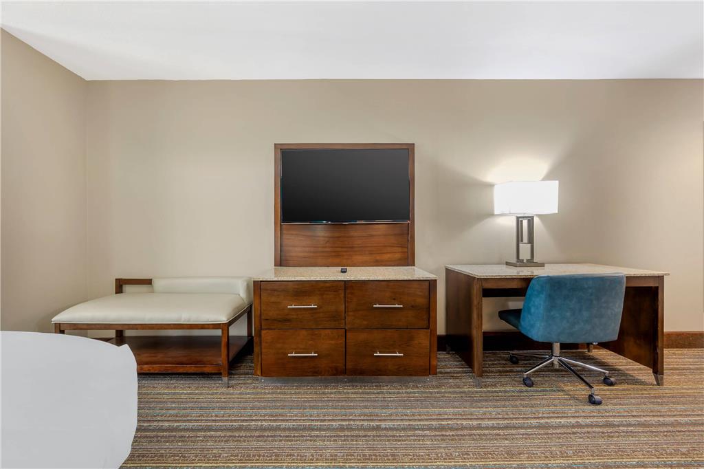 Comfort Suites Las Cruces I 25 North - photo 20