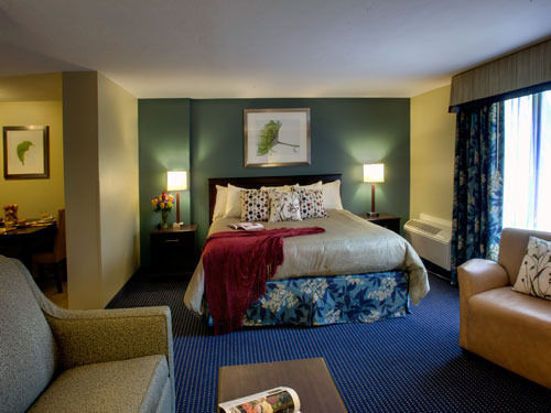 Inn at Deep Creek - photo 23