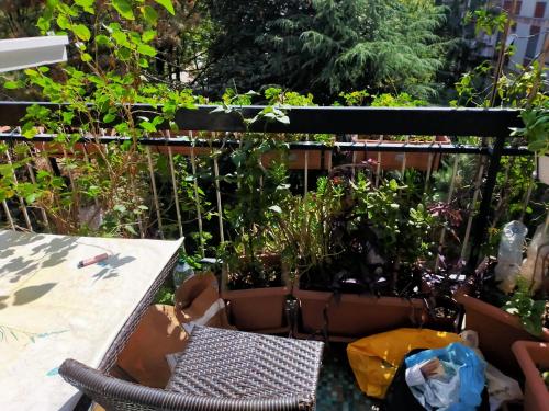 Focolare domestico — Milan — photo 2