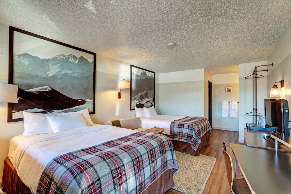 Loyal Duke Lodge - photo 17