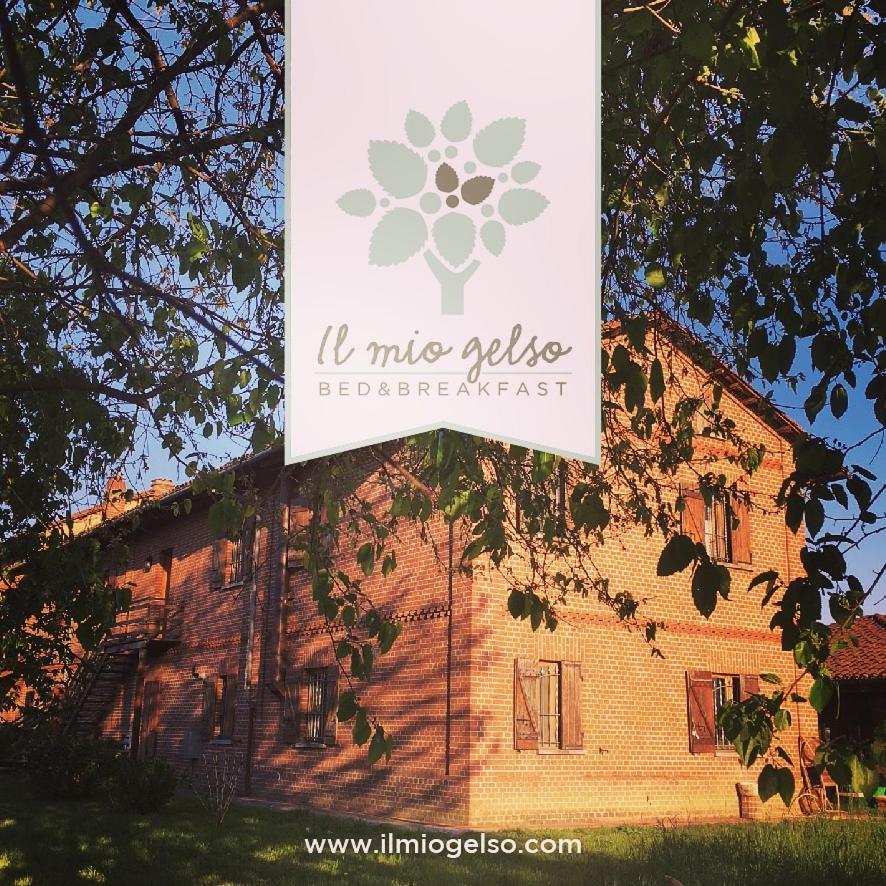 B&B Il Mio Gelso — 4-Star Luxury Hotel in Asti, Italy