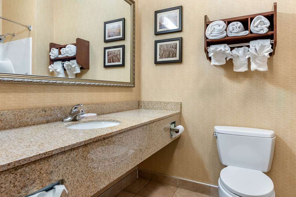 Comfort Suites Elkhart South - photo 7