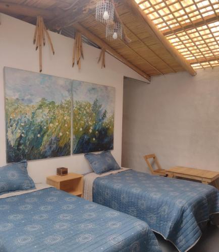 Dormir con llamas in Maimara, Argentina