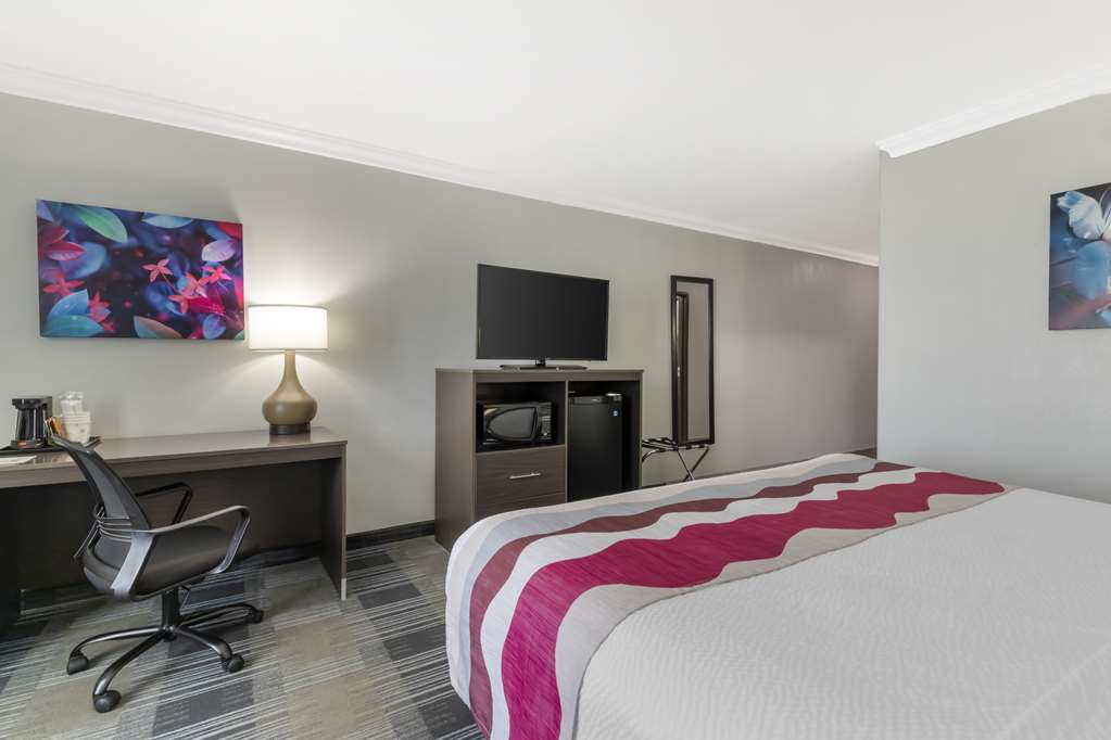 Best Western Medical Center North Inn & Suites Near Six Flags - photo 18
