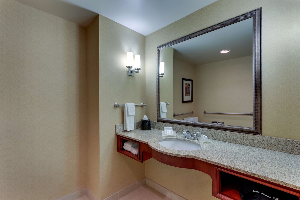 Hilton Garden Inn Indianapolis Airport - photo 28